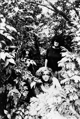 The Slits Biography