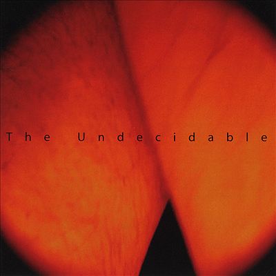 The Undecidable 1994-2007