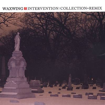 Intervention: Collection + Remix