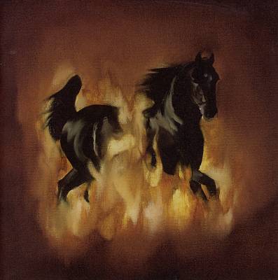 The Besnard Lakes Are the Dark Horse