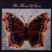 The House of Love (Butterfly)