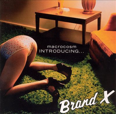Macrocosm: Introducing...Brand X