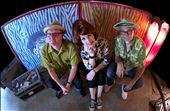 Southern Culture on the Skids