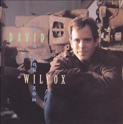 lataa albumi David Wilcox - Big Horizon