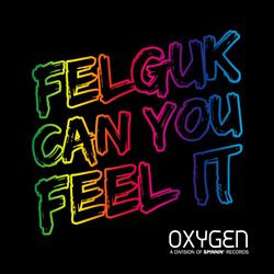 descargar álbum Felguk - Can You Feel It