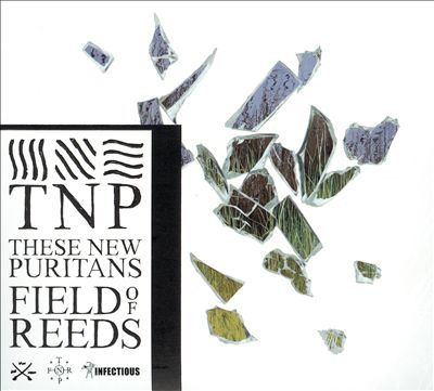 Field of Reeds
