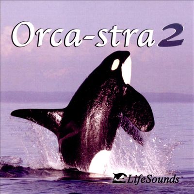 Orca-Stra 2