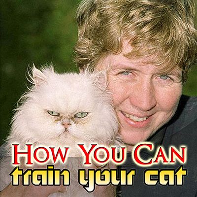 How You Can Train Your Cat