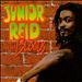 Junior Reid & the Bloods
