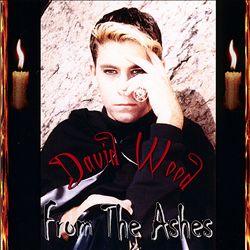 Album herunterladen David Wood - From The Ashes