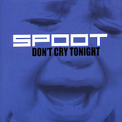 descargar álbum Download Spoot - Dont Cry Tonight album