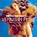 Plays Venus in Furs and Other Velvet Underground Songs