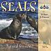 Sounds of Nature: Seals
