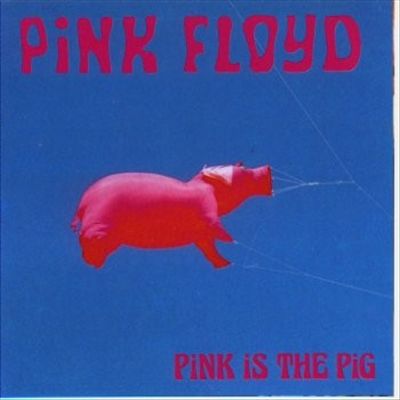 Pink Is the Pig