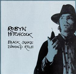 baixar álbum Robyn Hitchcock - Black Snake Diamond Röle