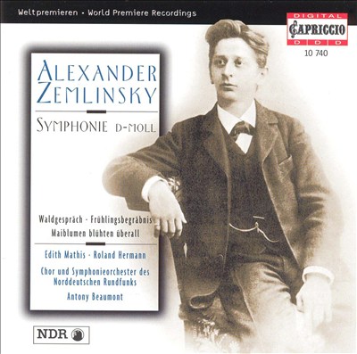 Alexander Zemlinsky: Symphonie d-moll