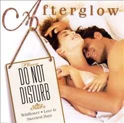 ladda ner album Various - Do Not Disturb Afterglow