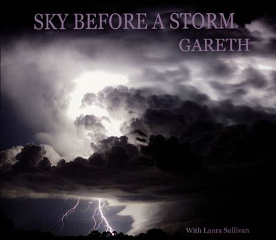 Sky Before a Storm