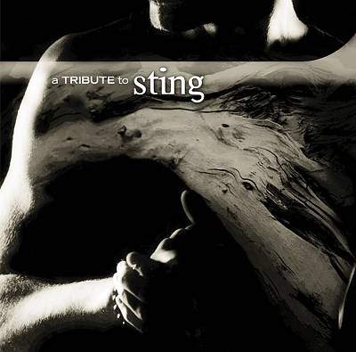 A Tribute to Sting