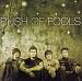 Rush of Fools