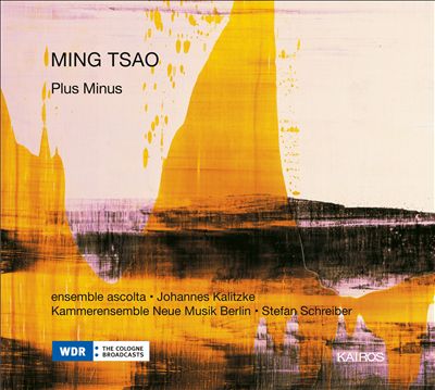 Ming Tsao: Plus Minus