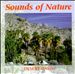 Sounds of Nature: Desert Oasis