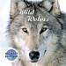 Nature's Rhythms: Wild Wolves