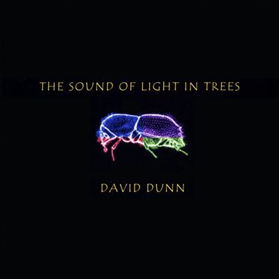 The Sound of Light in Trees