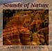 Sounds of Nature: A Night in the Canyon