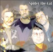 Spider the Cat