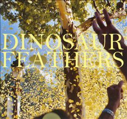 Album herunterladen Dinosaur Feathers - Whistle Tips