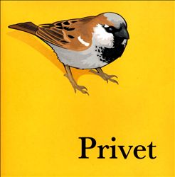télécharger l'album Download Privet - Privet album