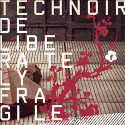 télécharger l'album Technoir - Deliberately Fragile