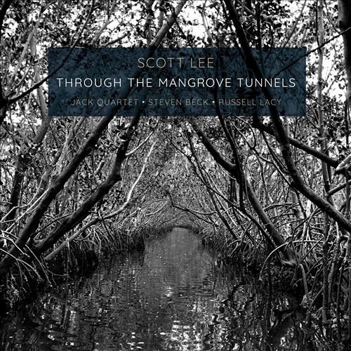 Scott Lee: Through the Mangrove Tunnels