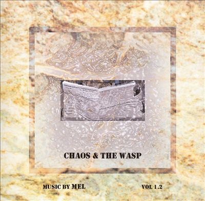Chaos & the Wasp