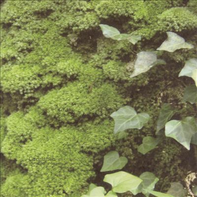 Circulation: The Sounds of the Moss