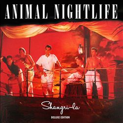 baixar álbum Animal Nightlife - Shangri La