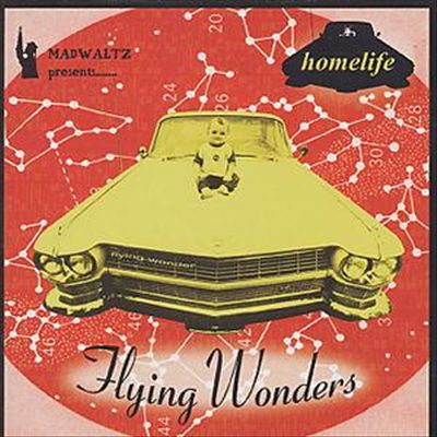 Flying Wonders