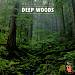 Relax with...Deep Woods