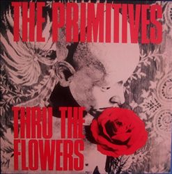 descargar álbum The Primitives - Thru The Flowers