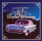DJ as Seen on TV:  a Country Music Tribute to Waylon Jennings