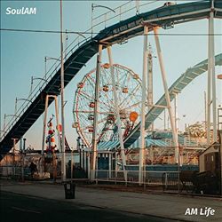 baixar álbum Soul Am - AM Life