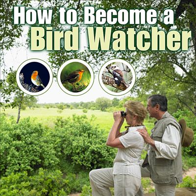 How to Become a Bird Watcher