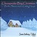 Chesapeake Bay Christmas: Bells, Stars and a Little Harp