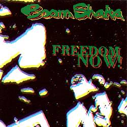 télécharger l'album Boom Shaka - Freedom Now