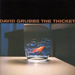 descargar álbum David Grubbs - The Thicket