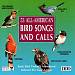 53 All American Bird Songs and Calls