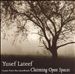 Claiming Open Spaces: Music from the Soundtrack
