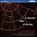 Tarik O'Regan: A Celestial Map of the Sky