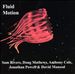 Fluid Motion